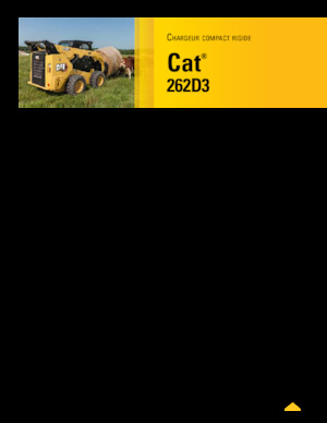 Skid Steer Loaders Caterpillar 262D Series 3