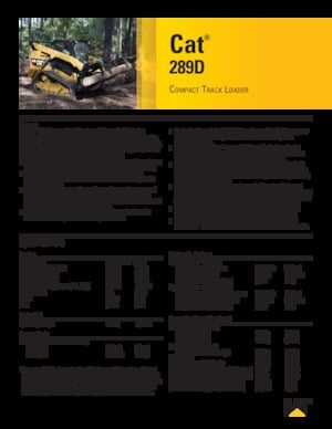 Kızak Dümen Yükleyiciler Caterpillar 289D