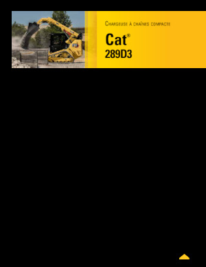 Skid Steer Loaders Caterpillar 289D Serie 3 Deltalader