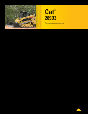 Skid Steer Loaders Caterpillar 289D Serie 3 Deltalader