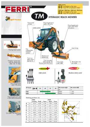 Çim biçme makineleri Ferri TM 46 Dual