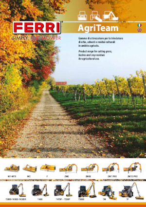 Slope Mowers Ferri TP 600