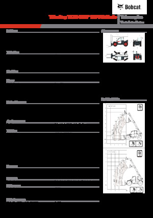 Teleskopik yükleyiciler Bobcat TL34.65HF 135 V