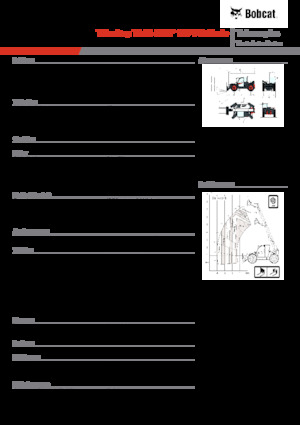 Telehandlers Bobcat TL43.80HF 135 V