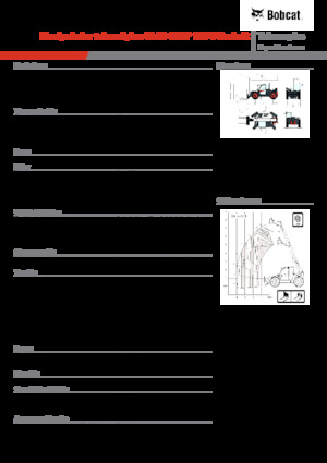Telehandlers Bobcat TL43.80HF 135 V