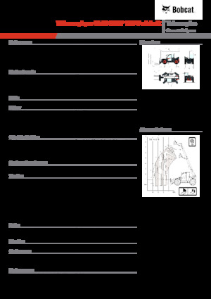 Telehandlers Bobcat TL43.80HF 135 V