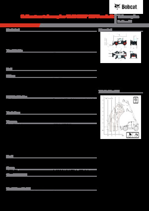 Telehandlers Bobcat TL43.80HF 135 V