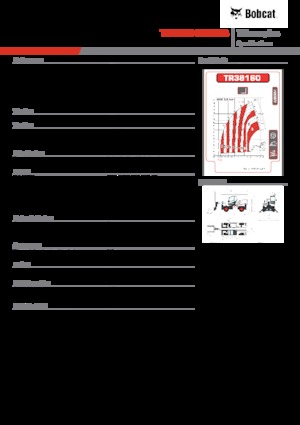 Üst yapılı teleskopik yükleyiciler Bobcat TR38160EVO IIIB