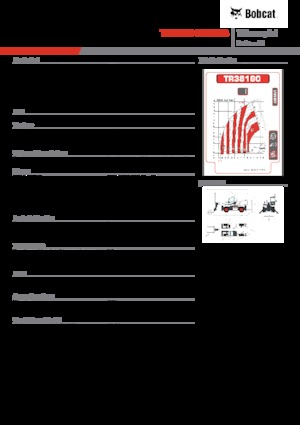 Üst yapılı teleskopik yükleyiciler Bobcat TR38160EVO IIIB