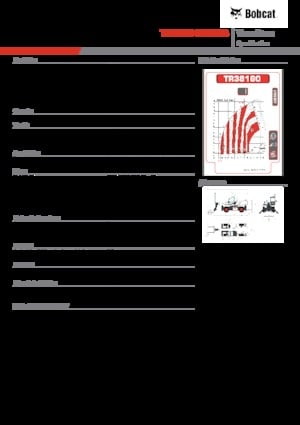 Rotating telehandlers Bobcat TR38160EVO IIIB