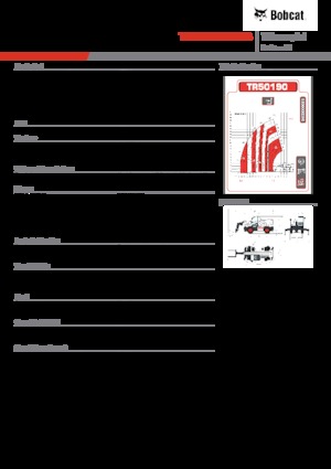 Üst yapılı teleskopik yükleyiciler Bobcat TR50190EVO IIIB