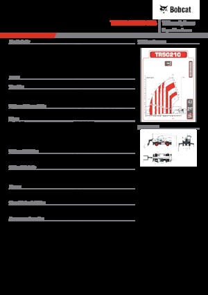 Üst yapılı teleskopik yükleyiciler Bobcat TR50210EVO IIIB