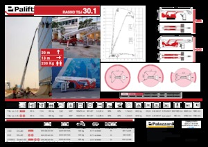 Tekerlekli Teleskopik Bomlu Vinçler Palazzani TSJ 30.1 R