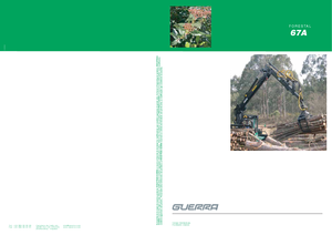 Kereste yükleme vinçleri Guerra 67 ATWYS 2