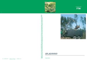 Kereste yükleme vinçleri Guerra 77 AY 1