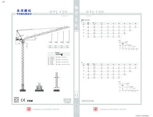 Kule vinçleri - luffing boom - top slewing Yongmao STL120