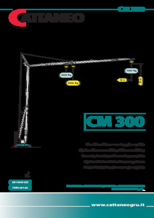 Tower Cranes - Trolley Boom - Bottom-slewing Cattaneo CM 300
