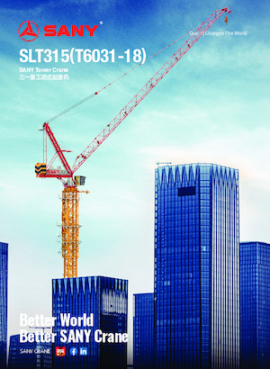 Tower Cranes - Trolley Boom - Top-slewing Sany SLT315