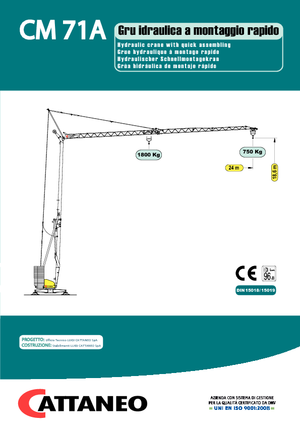 Kule vinçleri - tramvay bomu - alttan dönüş Cattaneo CM 71A