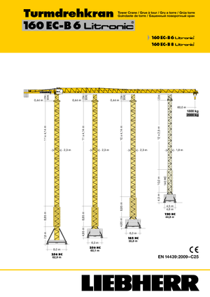 Kule vinçleri - tramvay bomu - üstten dönüş Liebherr 160 EC-B 6 Litronic