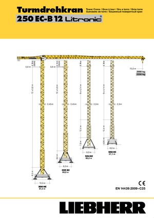 Tower Cranes - Trolley Boom - Top-slewing Liebherr 250 EC-B 12 Litronic