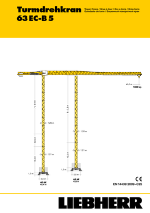 Tower Cranes - Trolley Boom - Top-slewing Liebherr 63 EC-B 5