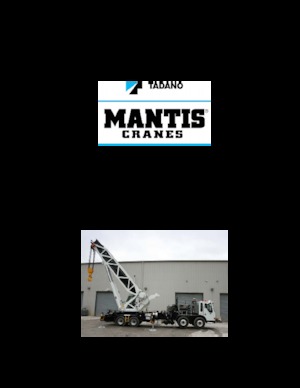 Truck-mounted Telescopic Cranes Tadano 30011