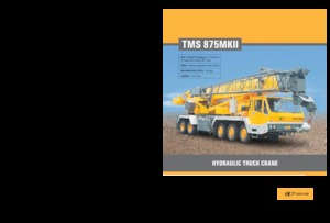 Kamyona monte telesc. vinçler Til TMS 875 MK II