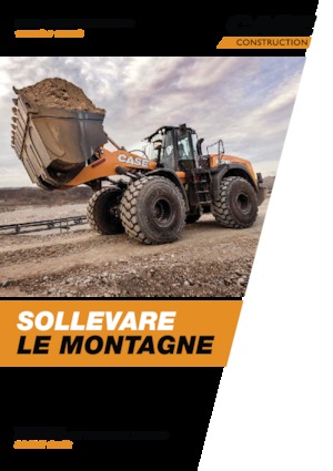 Wheel Loaders Case 1021G