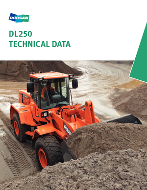Tekerlekli yükleyiciler Doosan DL 250