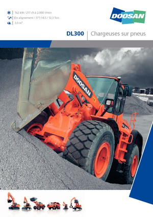 Wheel Loaders Doosan DL 300