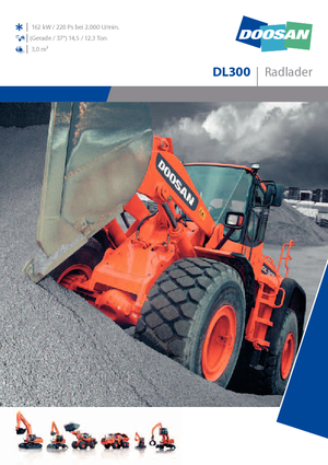 Wheel Loaders Doosan DL 300
