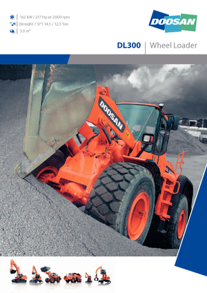 Wheel Loaders Doosan DL 300