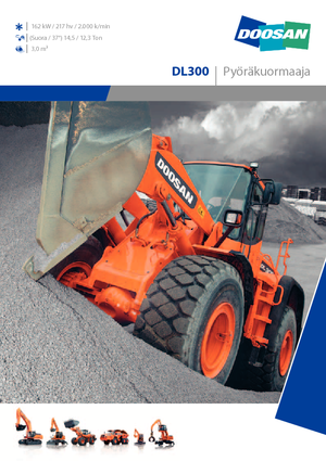 Wheel Loaders Doosan DL 300