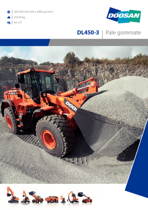 Tekerlekli yükleyiciler Doosan DL450-3