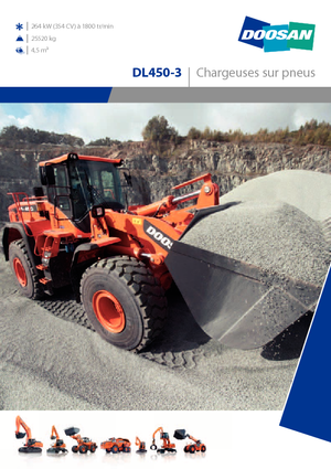 Wheel Loaders Doosan DL450-3