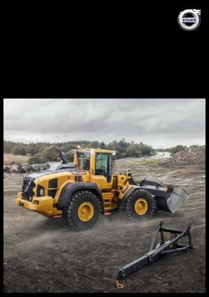 Wheel Loaders Volvo L110H