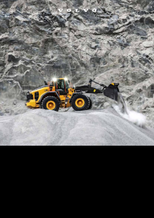 Wheel Loaders Volvo L180 