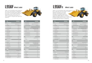 Wheel Loaders SDLG L956F