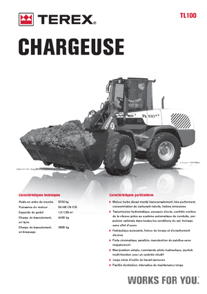 Wheel Loaders Terex TL 100