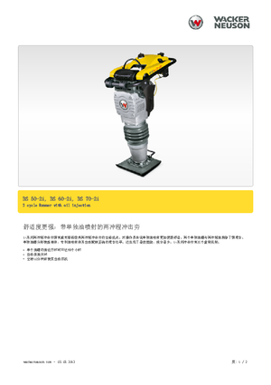 Gasoline and Diesel Rammers Wacker BS 60-2i 11