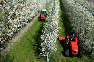 4WD Tractors SAME Frutteto³ 80 DT