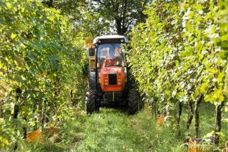 4WD Tractors SAME Frutteto³ S 100 DT
