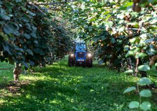 4WD Tractors BCS Eagle 85 SDT