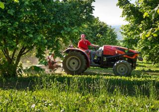 4WD Tractors SAME Frutteto 100 Classic 