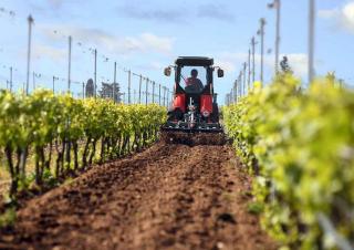 4WD Tractors SAME Frutteto CVT 100 