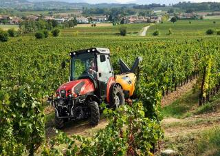 4WD Tractors SAME Frutteto CVT 115 