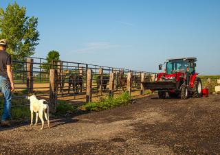 4WD Tractors Massey Ferguson MF 1765 M