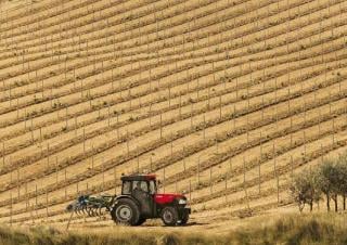 4WD Tractors Case IH Quantum 110 CL