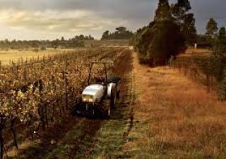 4WD Tractors Lamborghini RV.80 DT Inversore Idraulico